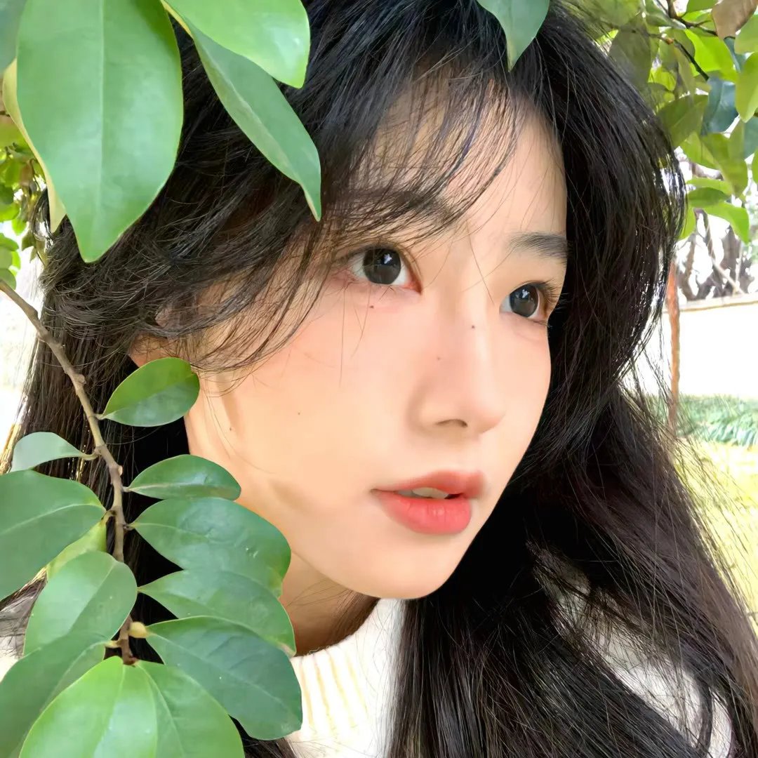 动漫动画